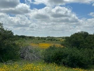 41 FM 2492 & CR 103, BROWNWOOD, TX 76801, photo 3 of 36