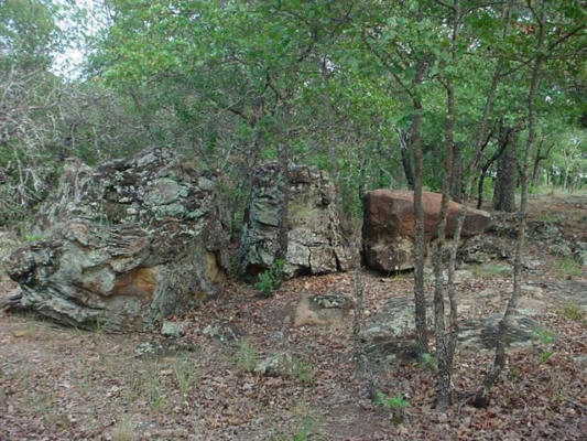 6H STAGECOACH TRAIL, GORDON, TX 76453, photo 3 of 5