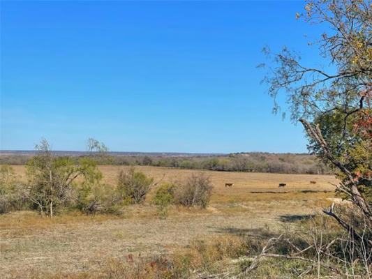 LOT 41 COMANCHE COUNTY ROAD 266, GUSTINE, TX 76455, photo 2 of 17