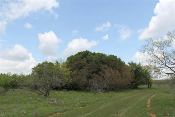 3933 HIGHWAY 1027, CARBON, TX 76435, photo 2 of 31