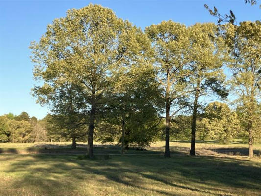 LOT 35 WHITE OAK CREEK RANCH, BIG SANDY, TX 75755, photo 3 of 20