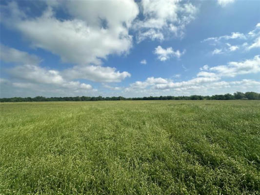 LOT 3 - 10AC RS COUNTY ROAD 4330, POINT, TX 75472, photo 4 of 11