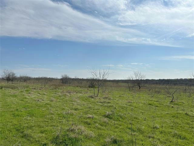 TRACT 1C (16.69 ACRES) SW COUNTY ROAD 2360, STREETMAN, TX 75859, photo 1 of 4