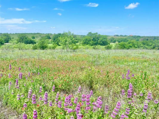 LOT69 GREENWOOD ROAD, COMANCHE, TX 76442, photo 3 of 7