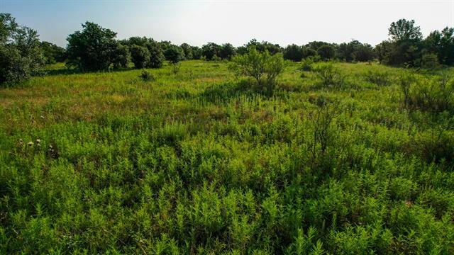 TBD PRIDEAUX ROAD, WINDTHORST, TX 76389, photo 3 of 31
