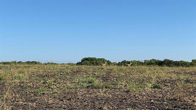 2164 FORD RD, HOWE, TX 75092, photo 3 of 10