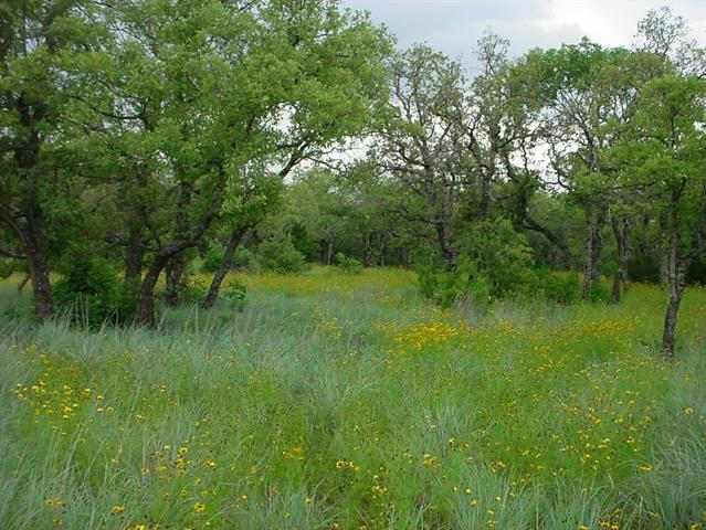 6H STAGECOACH TRAIL, GORDON, TX 76453, photo 1 of 5