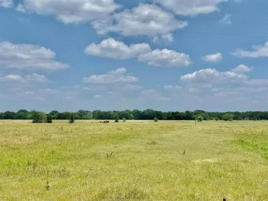 12053 S STATE HIGHWAY 34, SCURRY, TX 75158 - Image 1