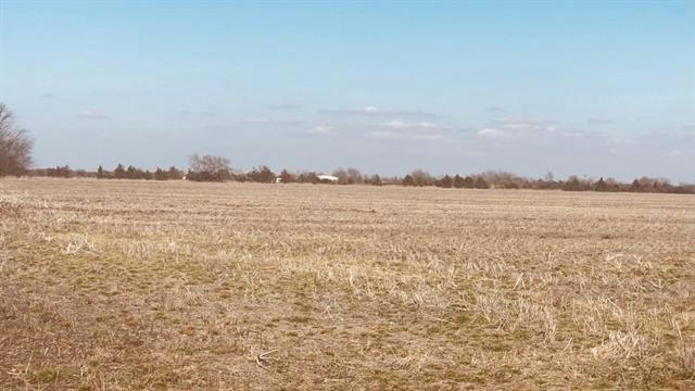 TBD CR 1155, BONHAM, TX 75418 - Image 1