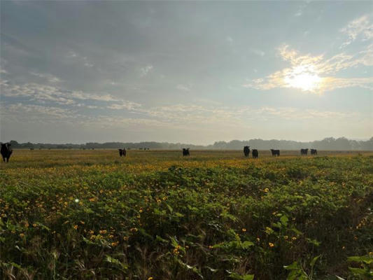 TBD CR 131, TUSCOLA, TX 79562 - Image 1