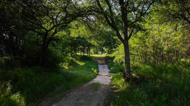 TBD CEMENT MOUNTAIN ROAD, BRYSON, TX 76427 - Image 1