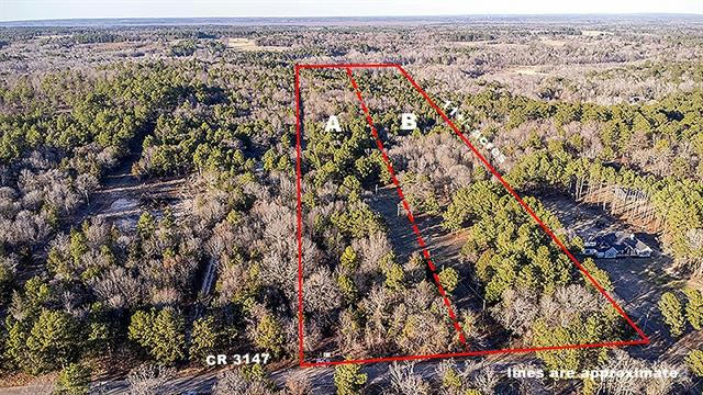16543 COUNTY ROAD 3147, TYLER, TX 75706, photo 3 of 3