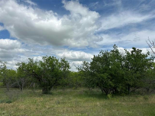 TRACT 15 CR 150, ABILENE, TX 79601, photo 2 of 10