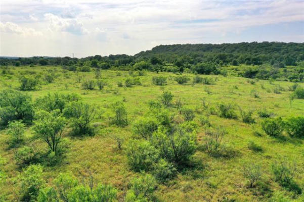 13.74 ACRES LESTER ROAD, JACKSBORO, TX 76458, photo 3 of 11