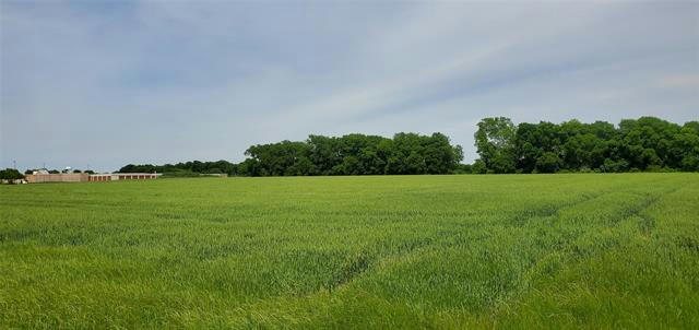 000 FANNIN ROAD, MELISSA, TX 75454, photo 2 of 13