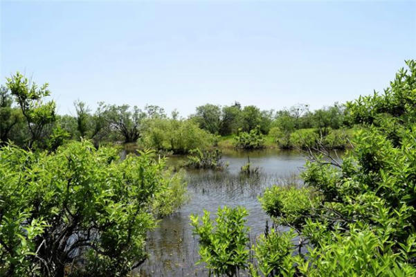 TBD 95 COUNTY RD 404, VALERA, TX 76884, photo 2 of 36