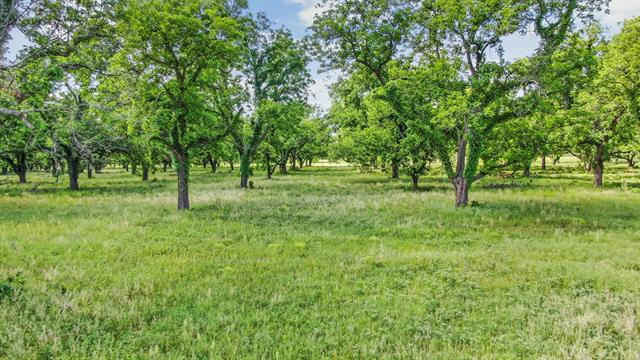 179 COUNTY ROAD 348, GORMAN, TX 76454, photo 3 of 15