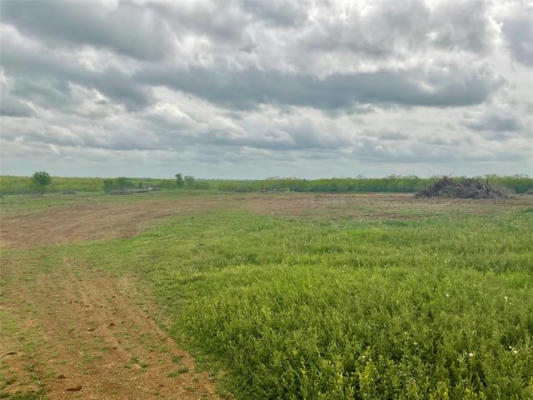 TBD S STATE HIGHWAY 80 AVENUE, NIXON, TX 78140, photo 4 of 12