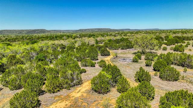 1570 BROWN RD, PALO PINTO, TX 76484, photo 1 of 21