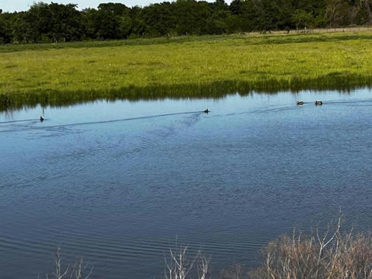 TBD FM 2930, BLOOMING GROVE, TX 76626 - Image 1