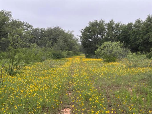 140+-ACRES CO ROAD 137, CISCO, TX 76437, photo 4 of 31