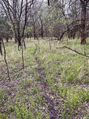 0 000 CR-4911 # LOT 1, LADONIA, TX 75449, photo 4 of 19