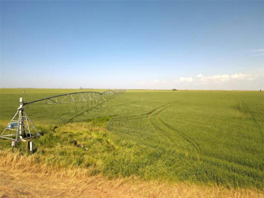 220 ACRES FM 2163, O'BRIEN, TX 79539 - Image 1