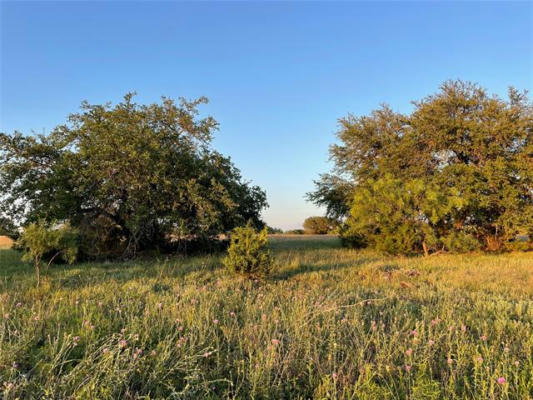 TBD COUNTY ROAD 213, GOLDTHWAITE, TX 76844, photo 4 of 21