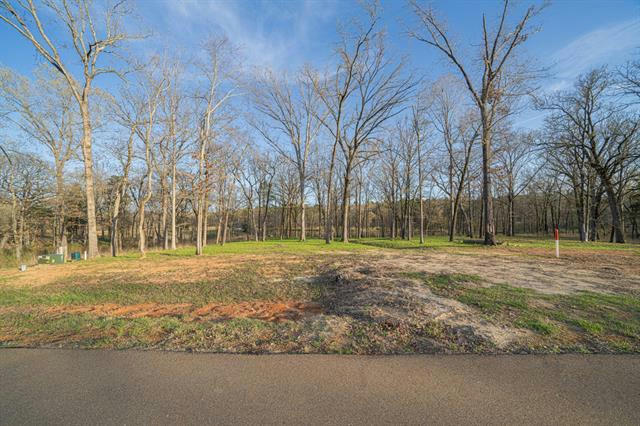 LOT 55 PRIVATE ROAD 52415, LEESBURG, TX 75451, photo 1 of 15