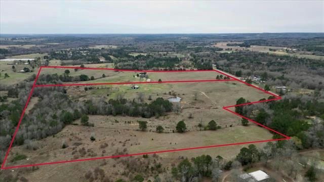 11817 COUNTY ROAD 339, TYLER, TX 75706, photo 1 of 26
