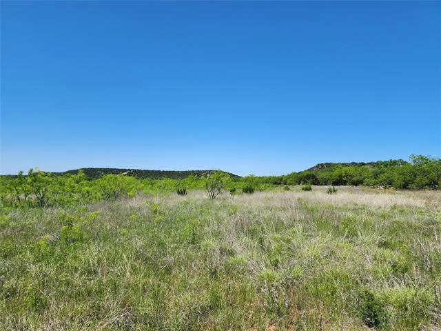 121 COUNTY ROAD # 145, WINTERS, TX 79567, photo 1 of 40