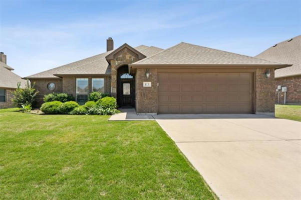 113 CAMOUFLAGE CIR, WILLOW PARK, TX 76008 - Image 1