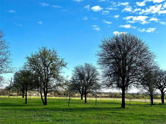 TBD COUNTY ROAD 377, RISING STAR, TX 76471, photo 1 of 7
