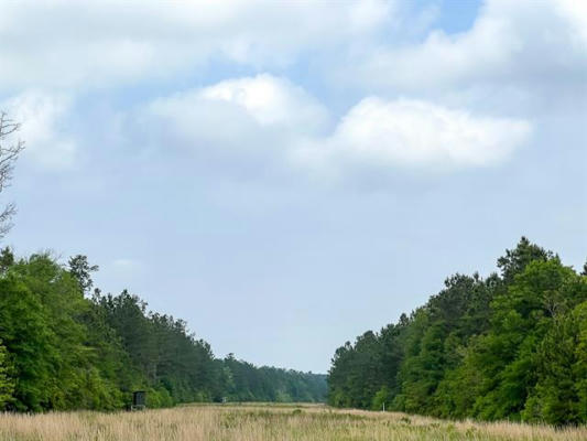 0000 CRAVENS CAMP RD., SILSBEE, TX 77656, photo 3 of 6