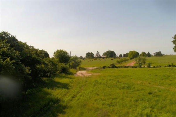 TBD1 COUNTY RD 116, CALLISBURG, TX 76240 - Image 1