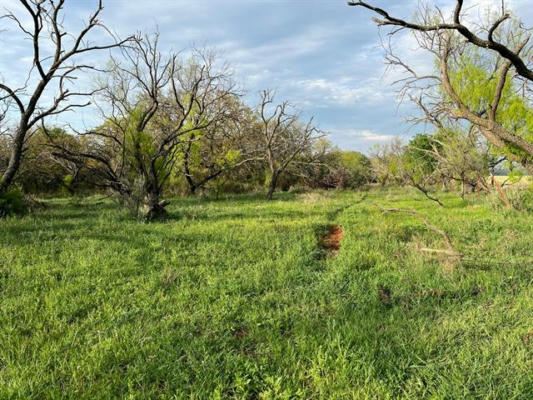 E. 34.1 HOFFMAN ROAD, LOVING, TX 76460, photo 2 of 6