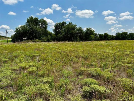 14030S TX-16, COMANCHE, TX 76442, photo 4 of 6