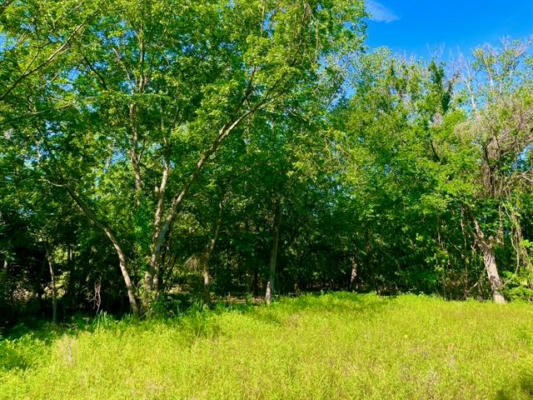 LOT 51 WICKLOW CT, POOLVILLE, TX 76487, photo 2 of 18