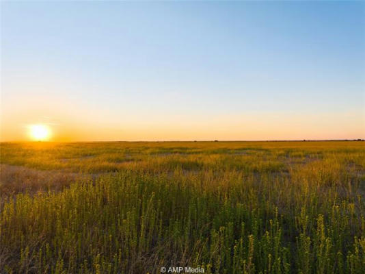 LOT 8 COUNTY ROAD 503, ABILENE, TX 79601 - Image 1