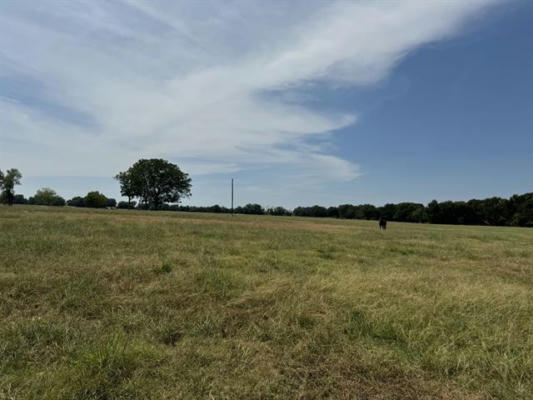 TBD-TRACT 2 CR 15380, PATTONVILLE, TX 75468 - Image 1