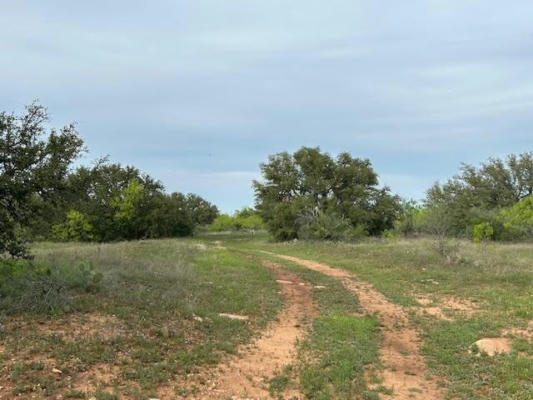 TBD COUNTY ROAD 225, BROOKESMITH, TX 76801, photo 4 of 28