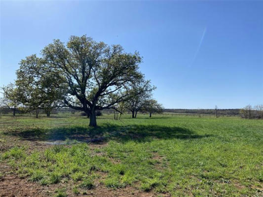 TRACT 3 CO ROAD 323, CARBON, TX 76435, photo 4 of 9