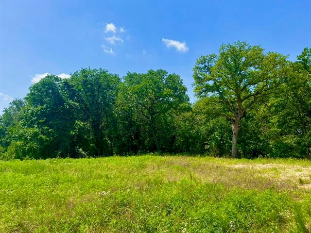 LOT 49 WICKLOW CT, POOLVILLE, TX 76487, photo 1 of 18