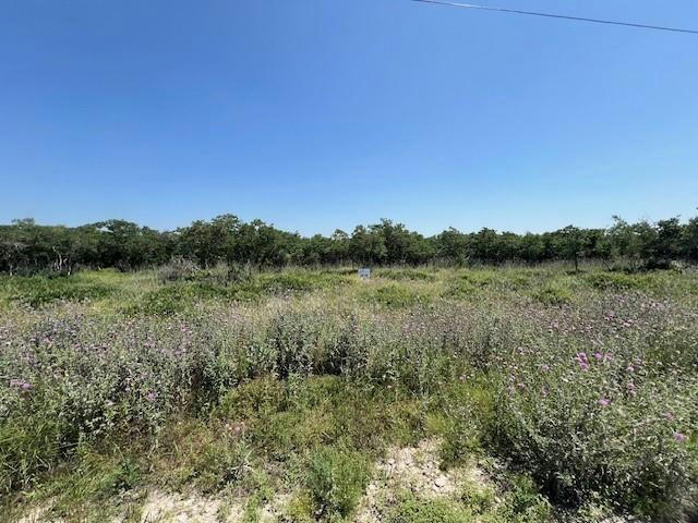 130 COUNTY ROAD 242, GOLDTHWAITE, TX 76844, photo 1 of 5