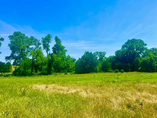 LOT 93 KERRY CT, POOLVILLE, TX 76487, photo 1 of 18