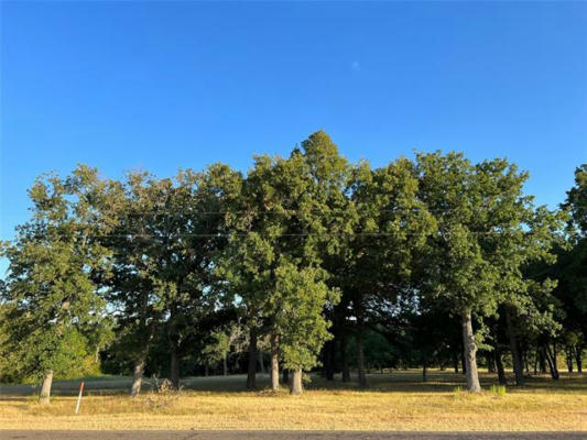 L 3B-2 E STATE HWY 31, KERENS, TX 75144, photo 2 of 17