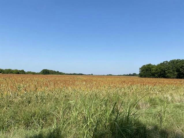TBD COUNTY RD 16060, DEPORT, TX 75435, photo 1 of 6