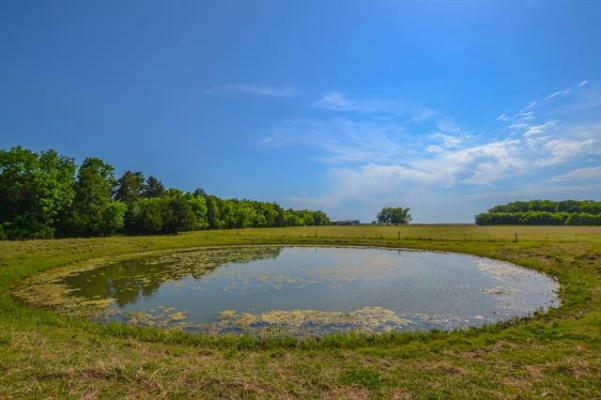 2909 SE COUNTY ROAD 0220, KERENS, TX 75144, photo 2 of 17