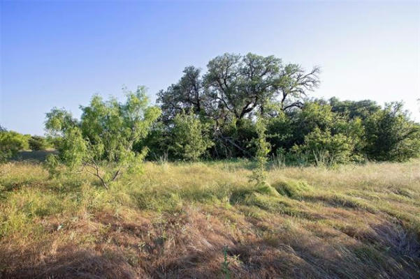 LOT 447 INDIGO BUSH COURT, GRAFORD, TX 76449, photo 4 of 18