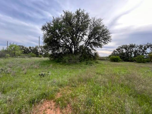TBD COUNTY ROAD 225, BROOKESMITH, TX 76801 - Image 1